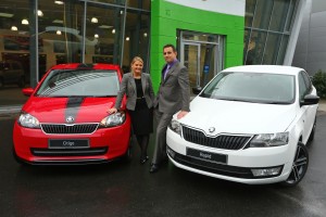 skoda ireland